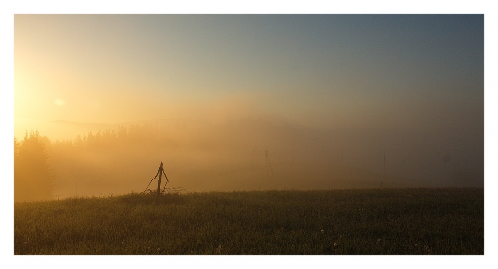 Kontinuierlicher Anstieg ...