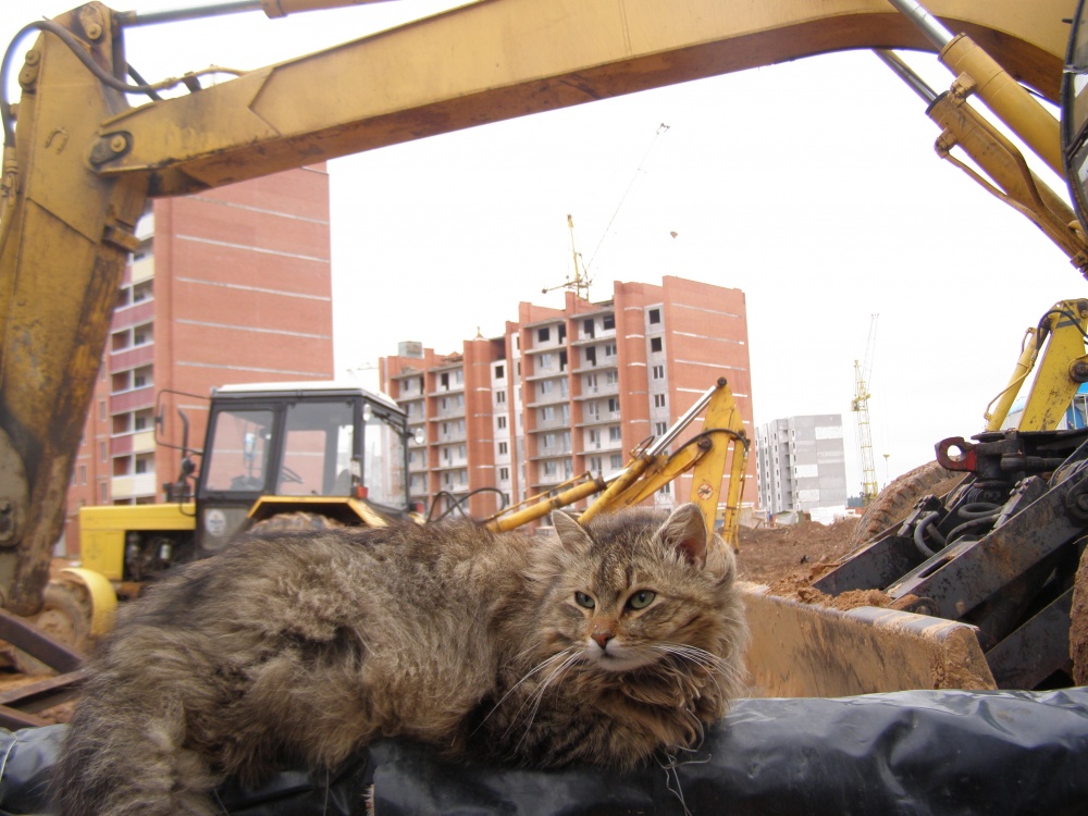 inmitten der Lärm der Stadt ...