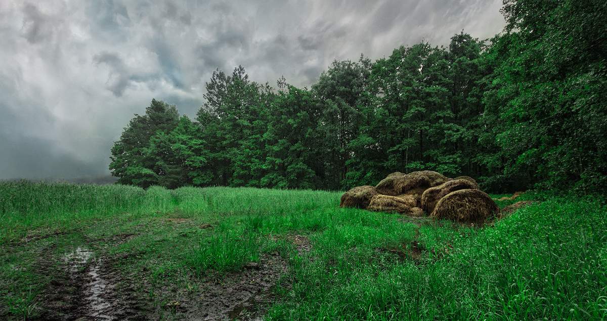 Kalter Morgen im Juni