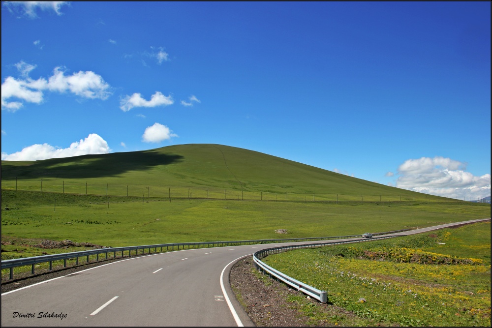 All Grean  (Georgia)