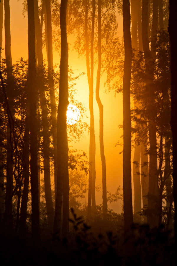 An der Schwelle von 2