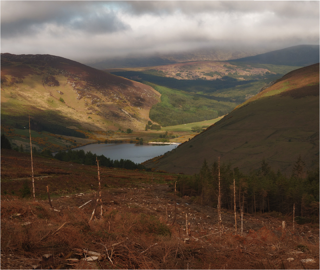 Die Schatten ..., Neigung, Teiche ...