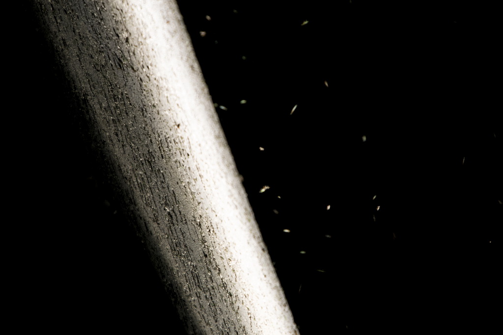 Außergewöhnliche in einfachen Dinge.