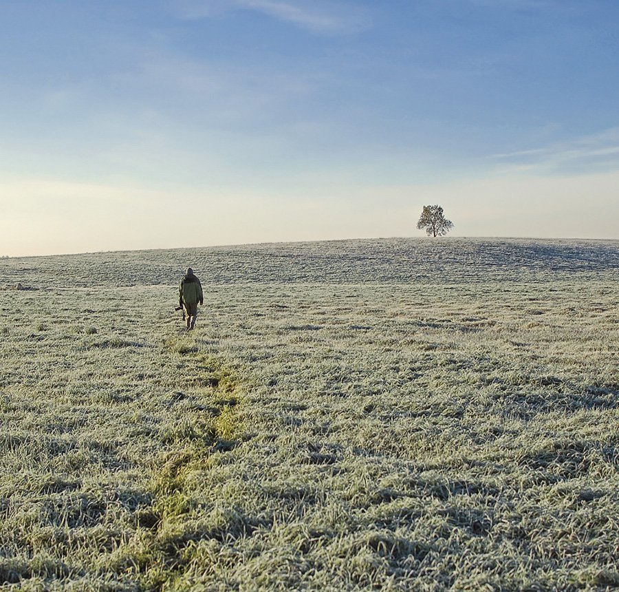 auf der Suche nach einem minimalistischen ..