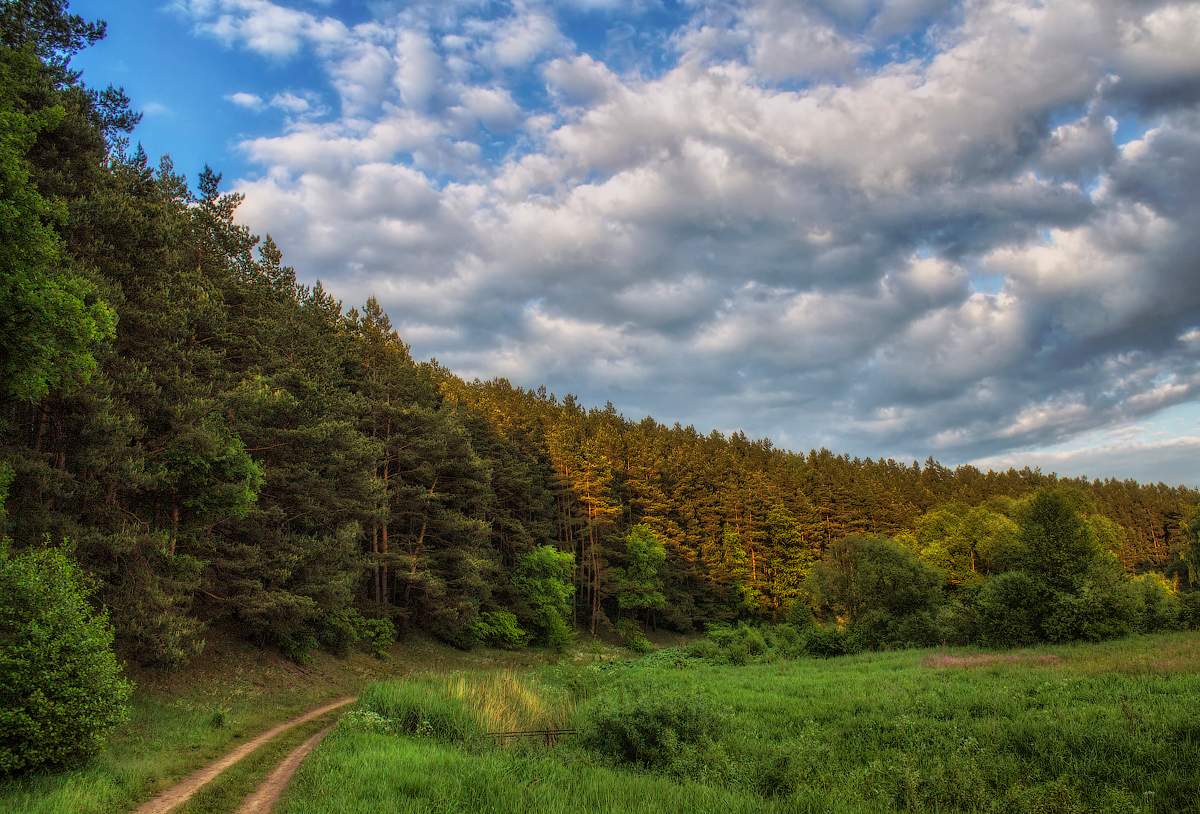 Wiege der Forstwirtschaft