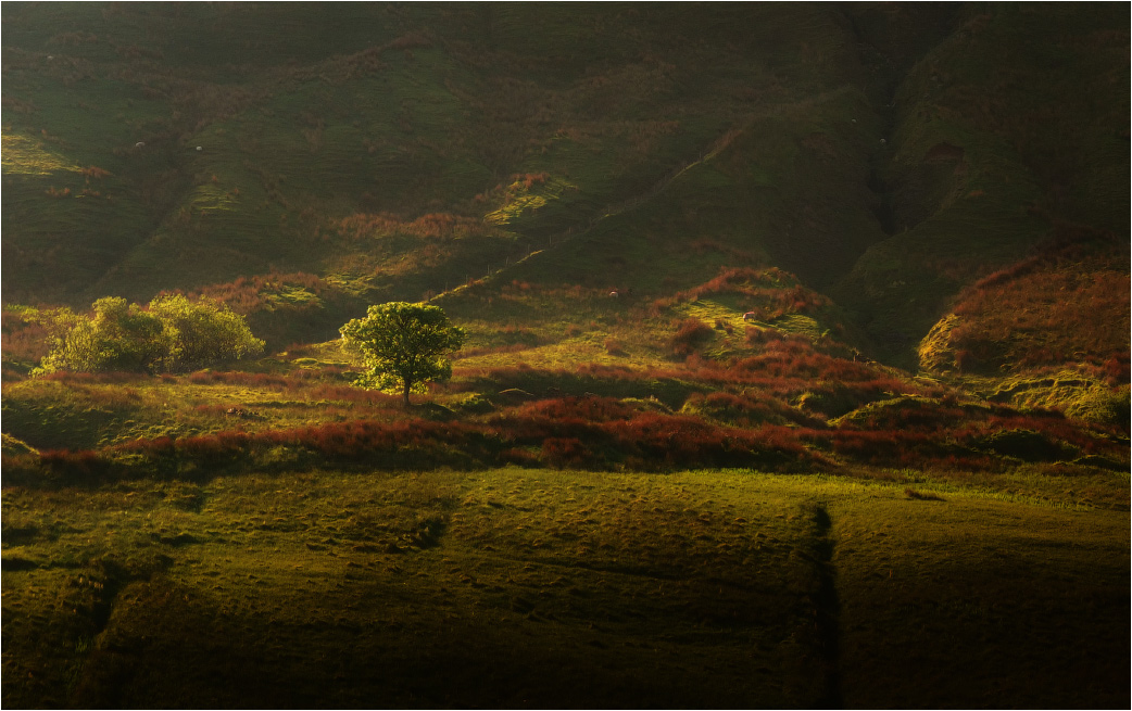 Relief-Morgen ......