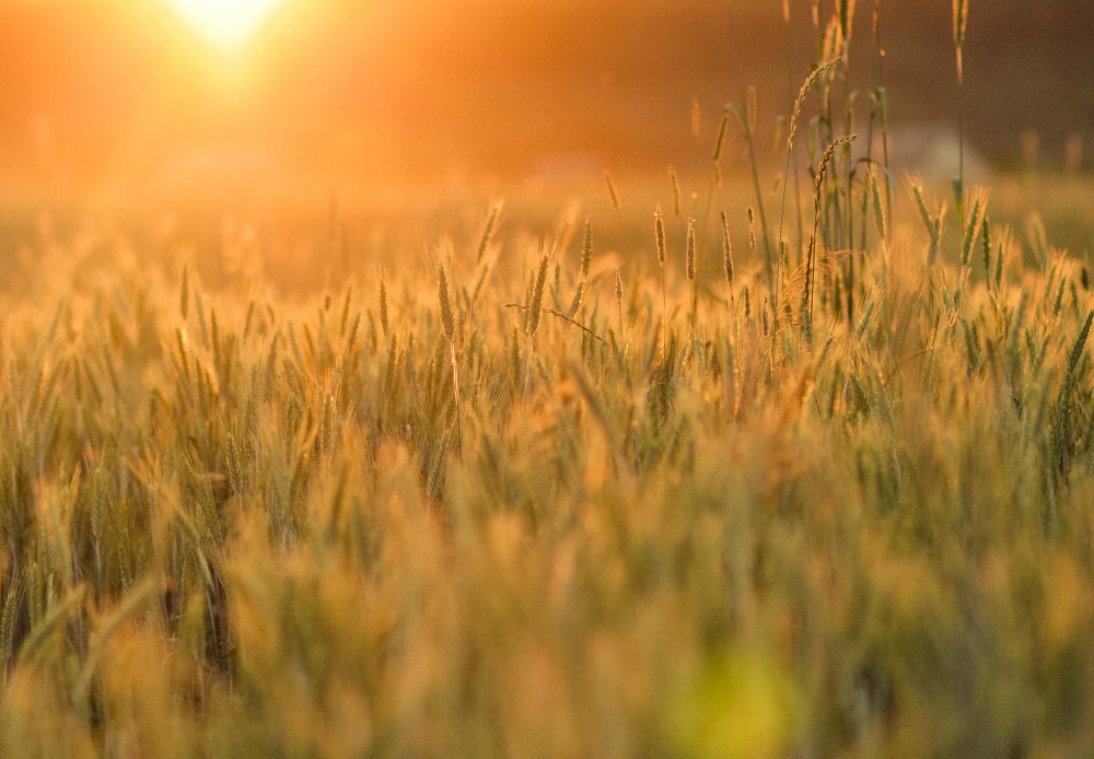 Sonnenuntergang von Tag zu Tag