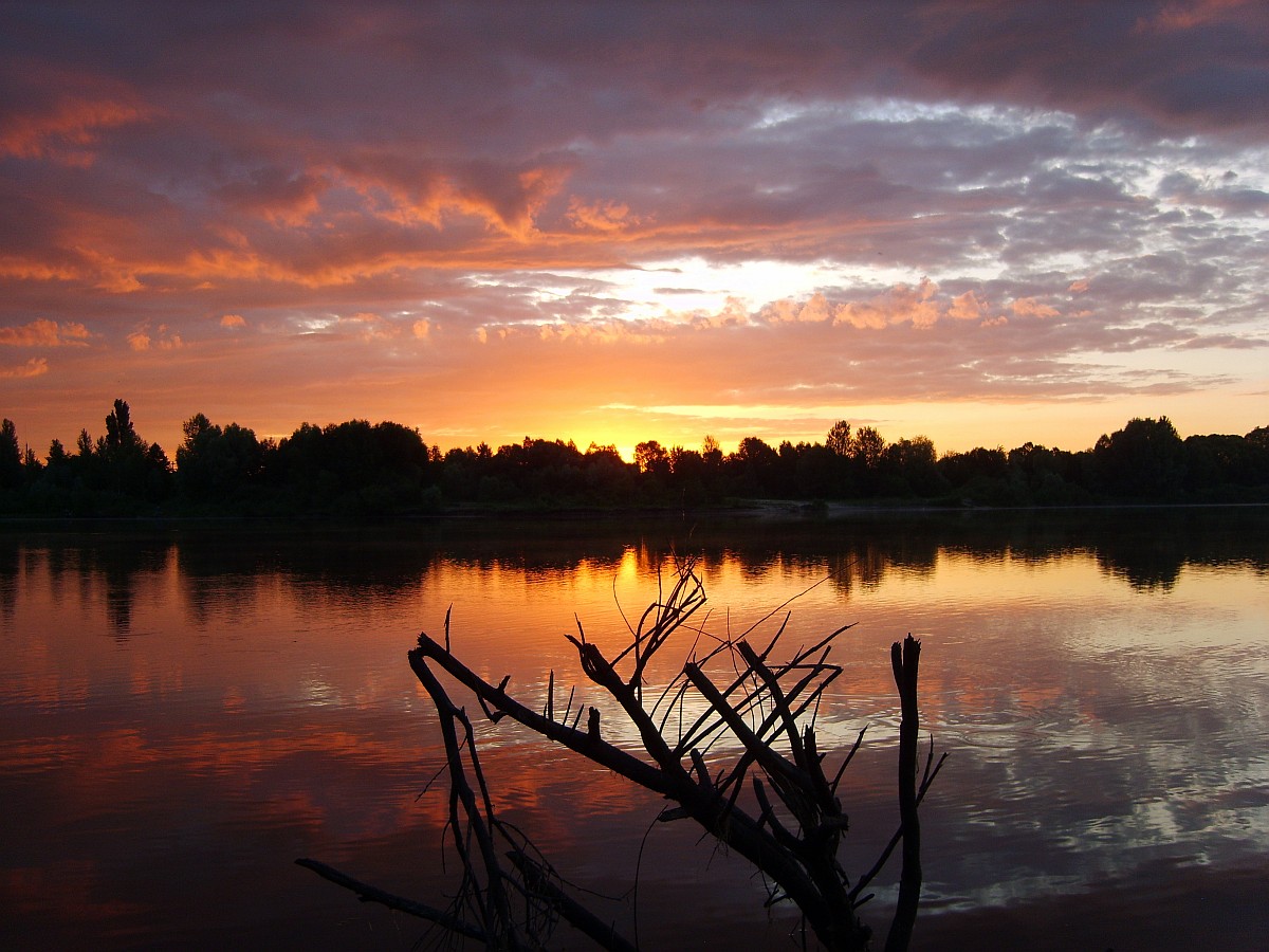 The Scarlet Morgendämmerung Juni