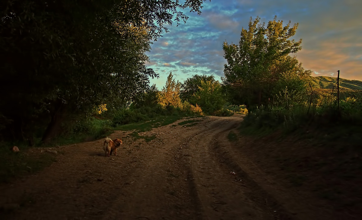 Begleiten Sie die Sonne