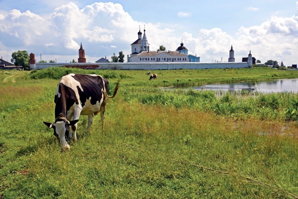 Mariä Geburt Kloster Bobrenev