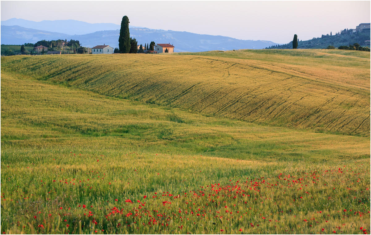 Toskana. Pienza.