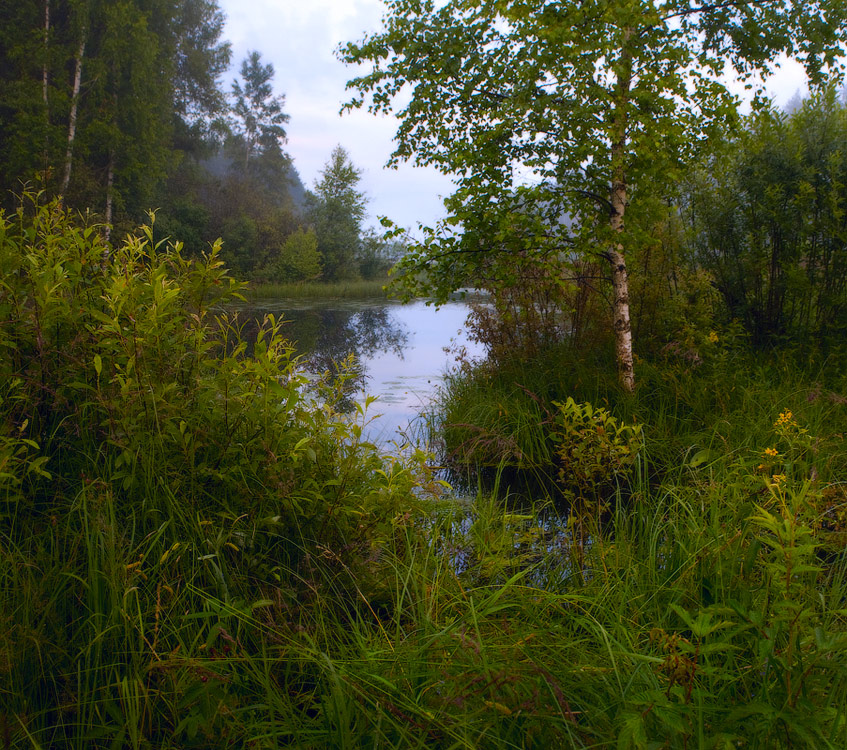 Ein Aufstand der Grünen