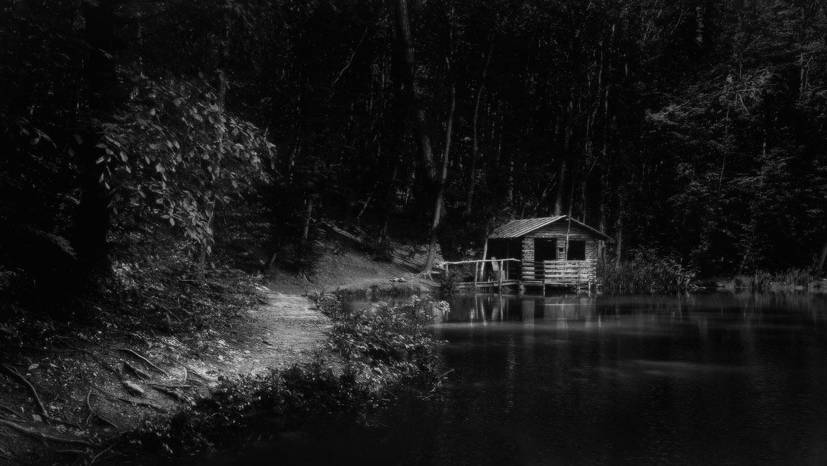 In der dunklen, dunklen Wald ...