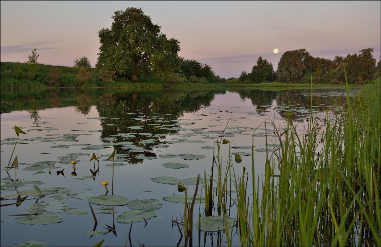 In Erwartung der Morgenröte