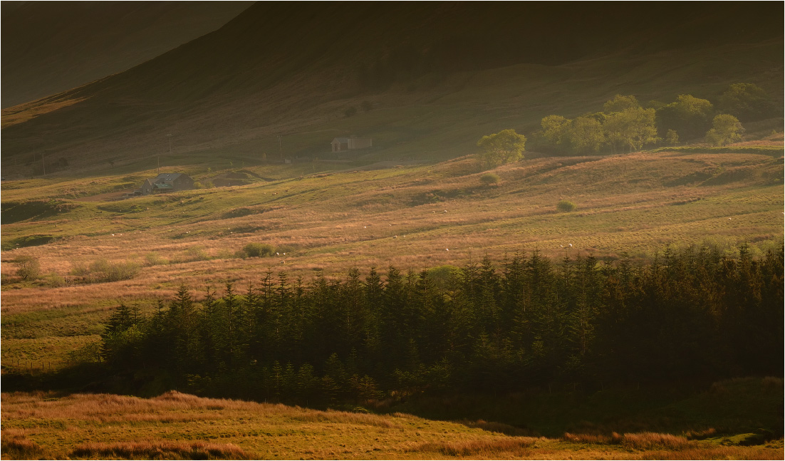 Crohn ..., Häuser und Wälder ...