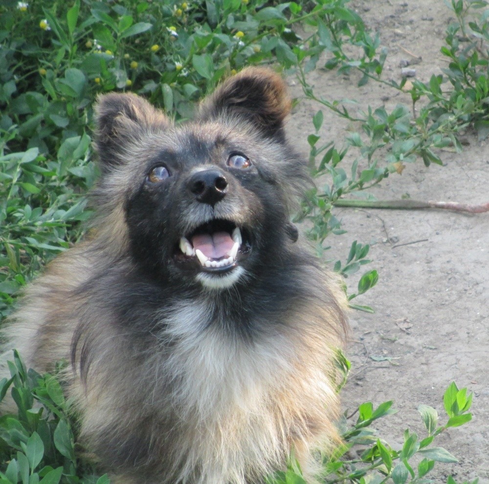 Und was über das Fliegen?