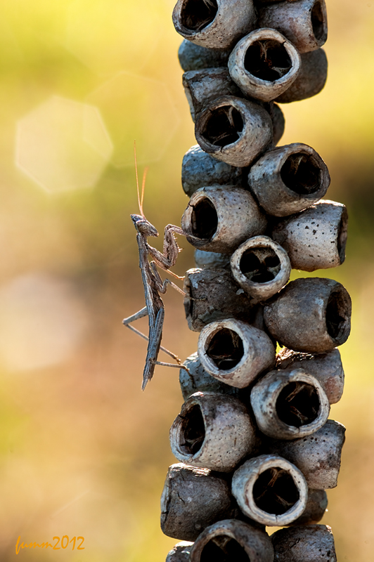 Wo verstauen versteckt? ..