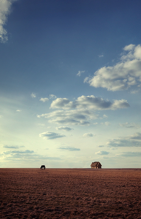 Zwischen zwei Welten ...