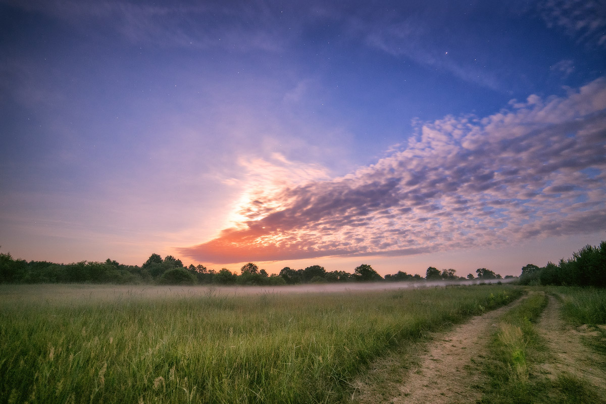 Die Flügel des Firebird