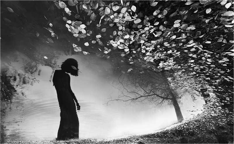 z und h a r a n a n a i