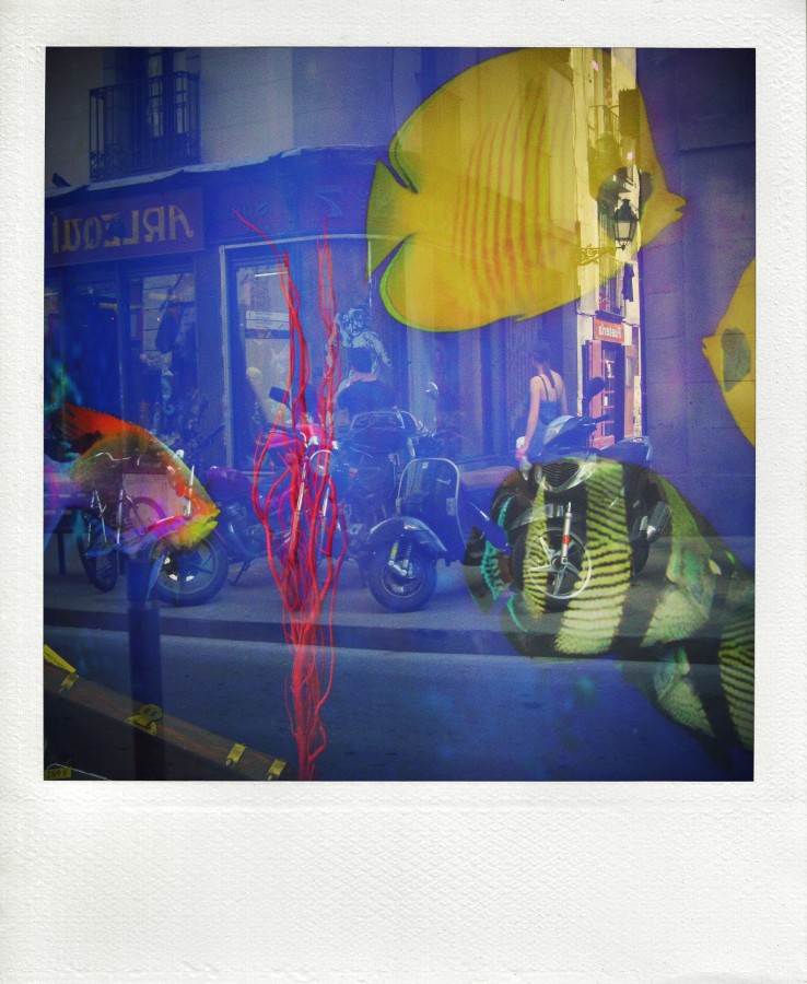 Ich Fisch mit Postsendungs-/-empfangsprogramm Sie unterschreiben II