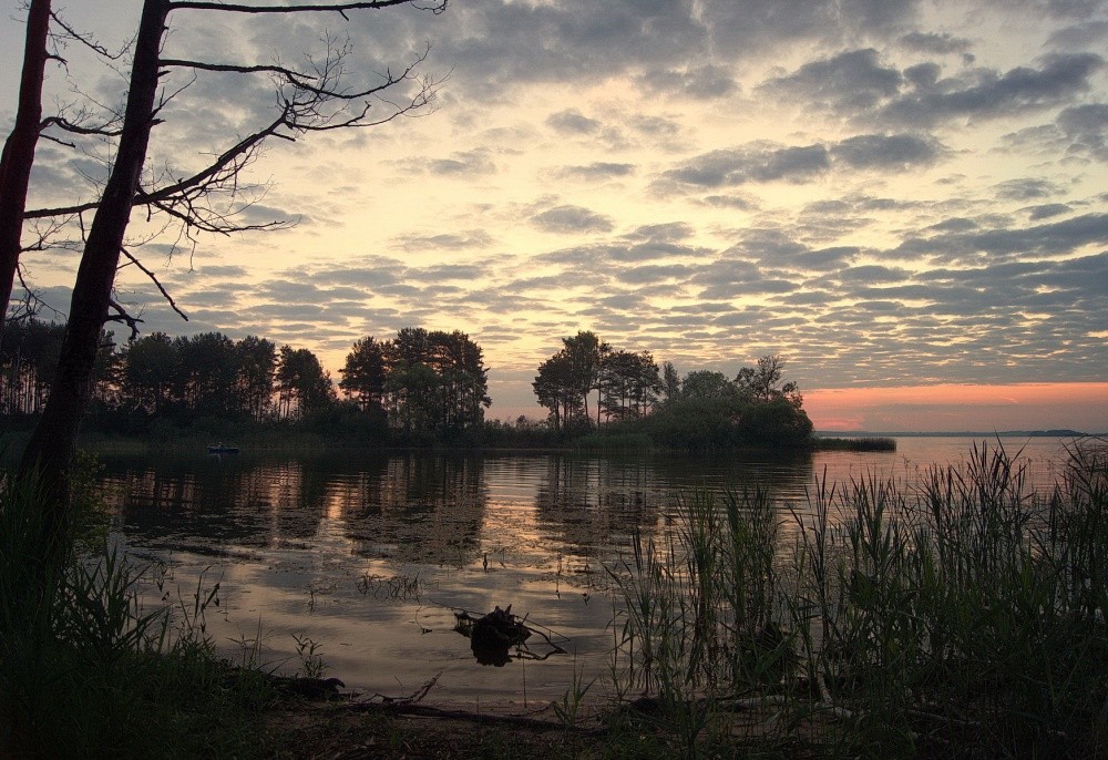 Dawn in dem sumpfigen Bucht