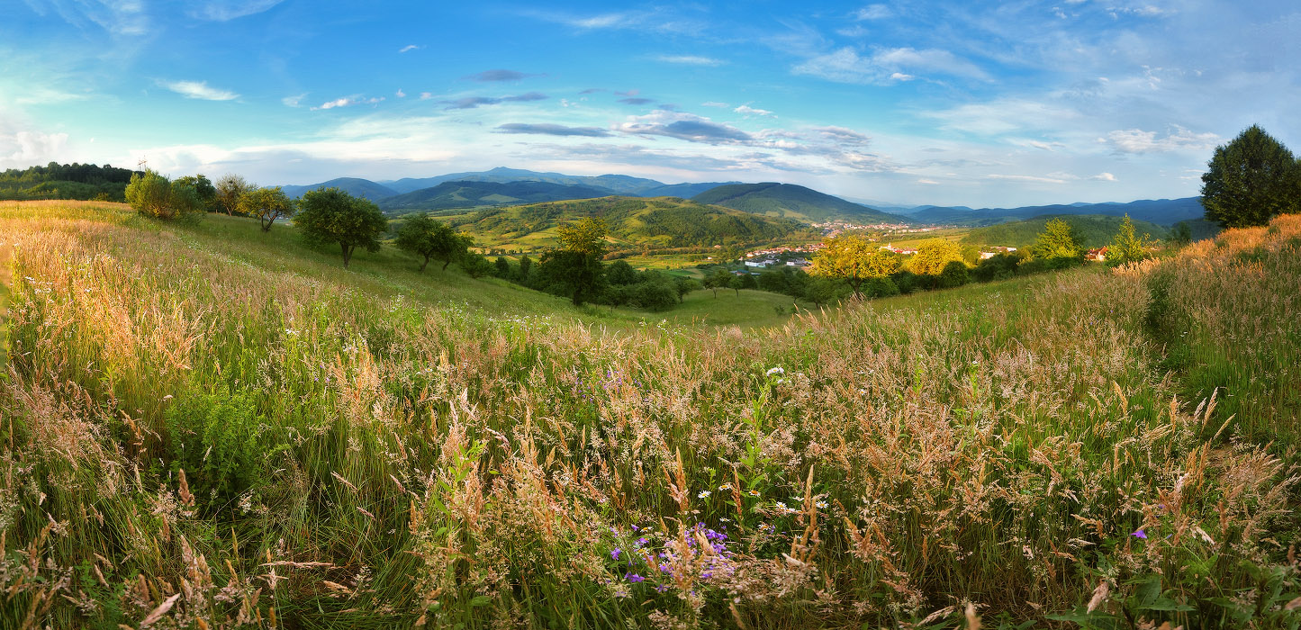Juni in Transkarpatien