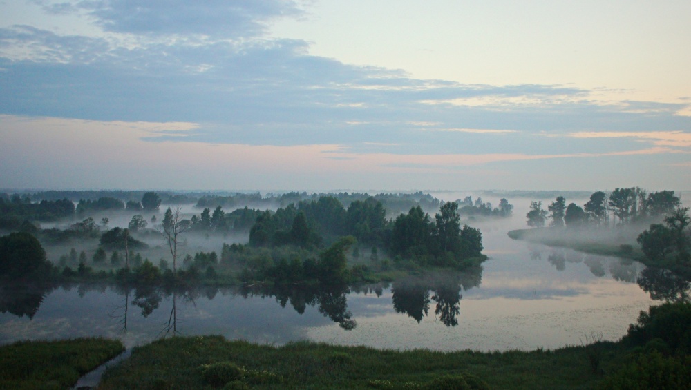 Nebel über dem Fluss