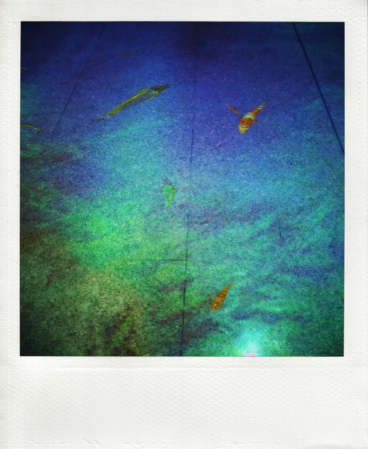 Ich Fisch mit Mail sende ich Ihnen ein Zeichen