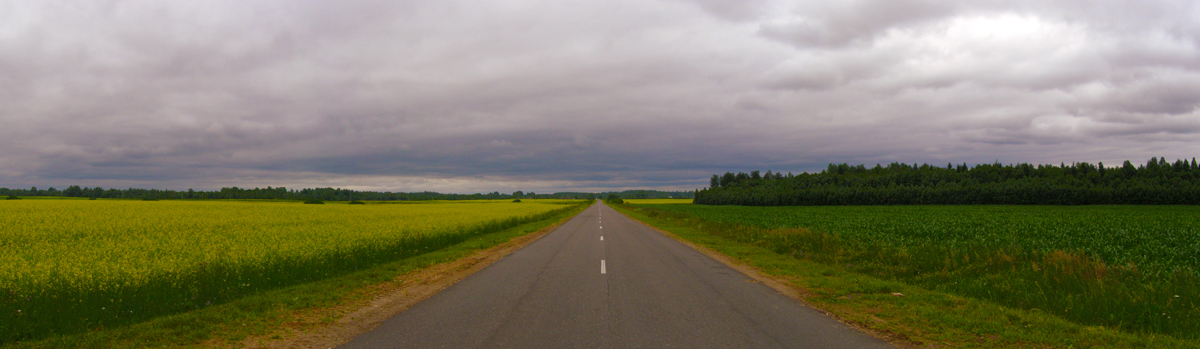 Entwicklungsmöglichkeiten