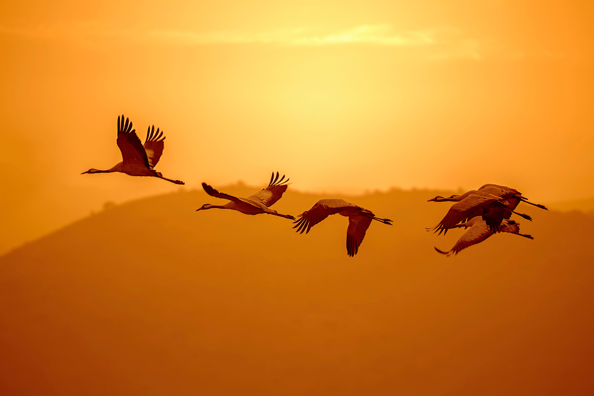 Zu Beginn der Sitzung