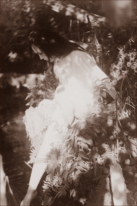 Morgen in den Wald fern