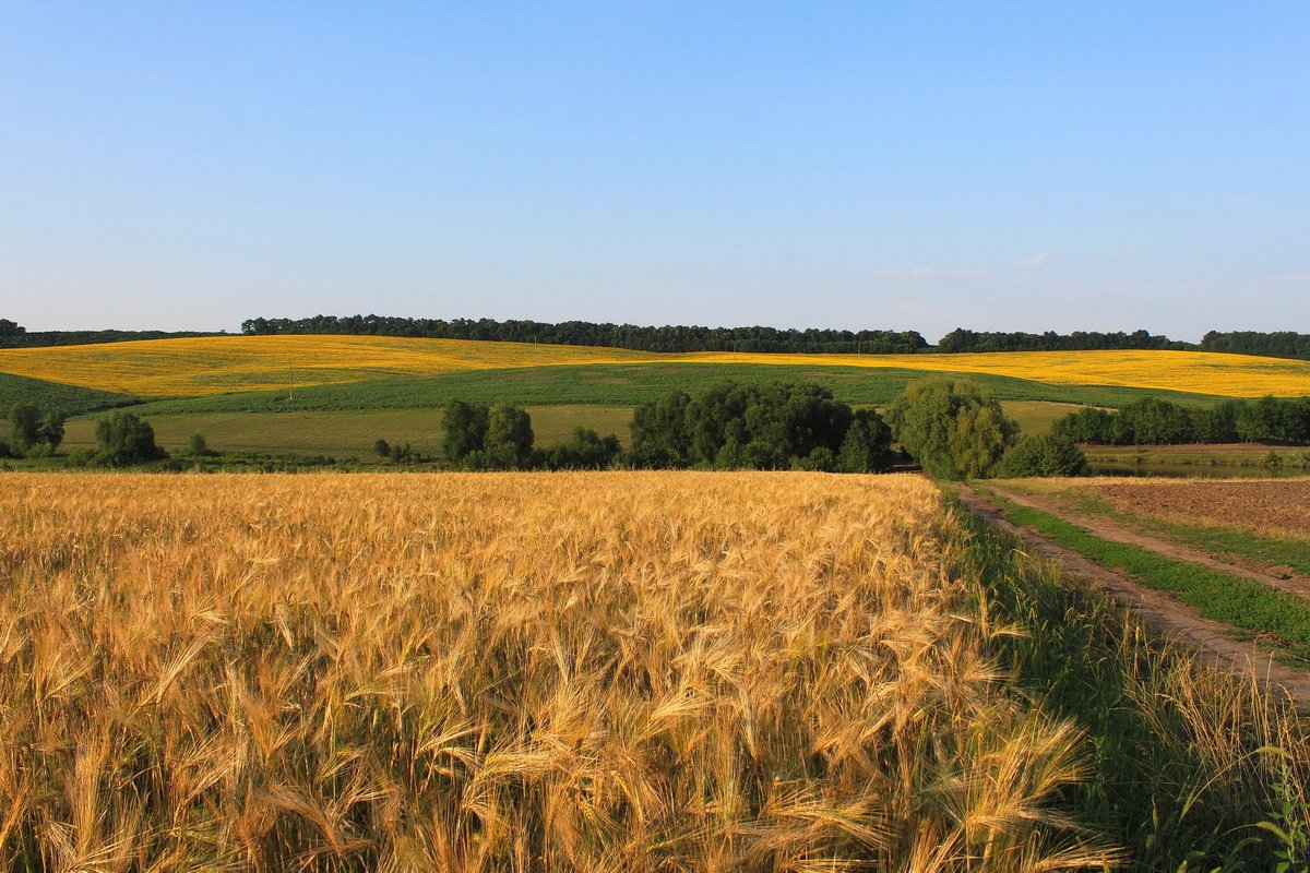 Ukrainischen Bereiche