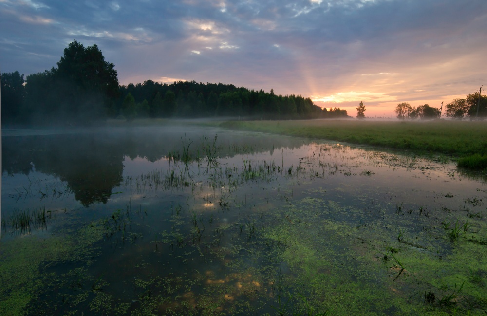 Morgen auf dem Gorely