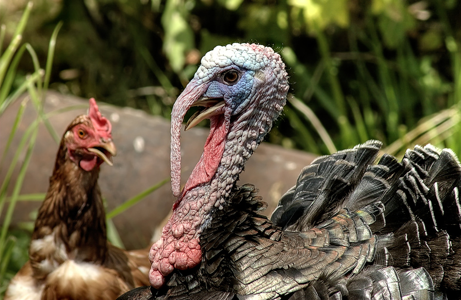 Aufrichtig Gespräch ...