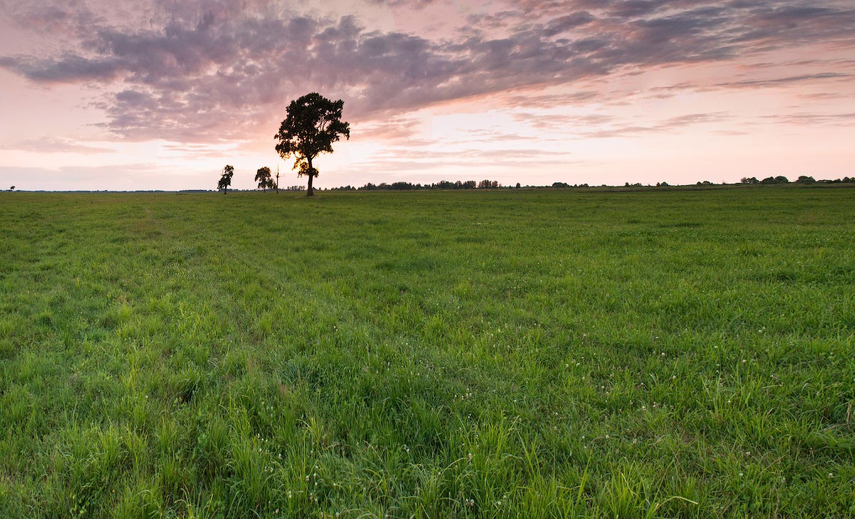 three circuit like a shape of your soul