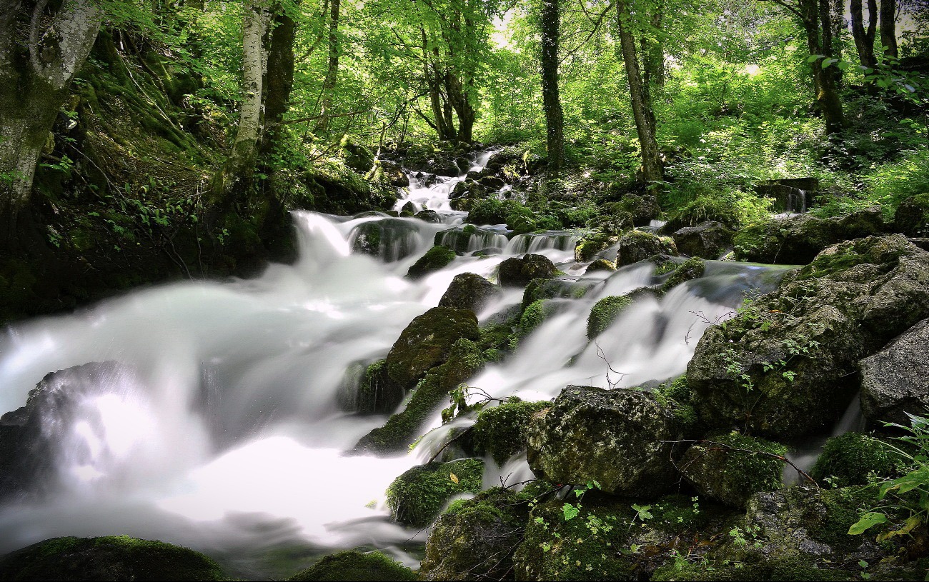 in den Vororten von Durmitor