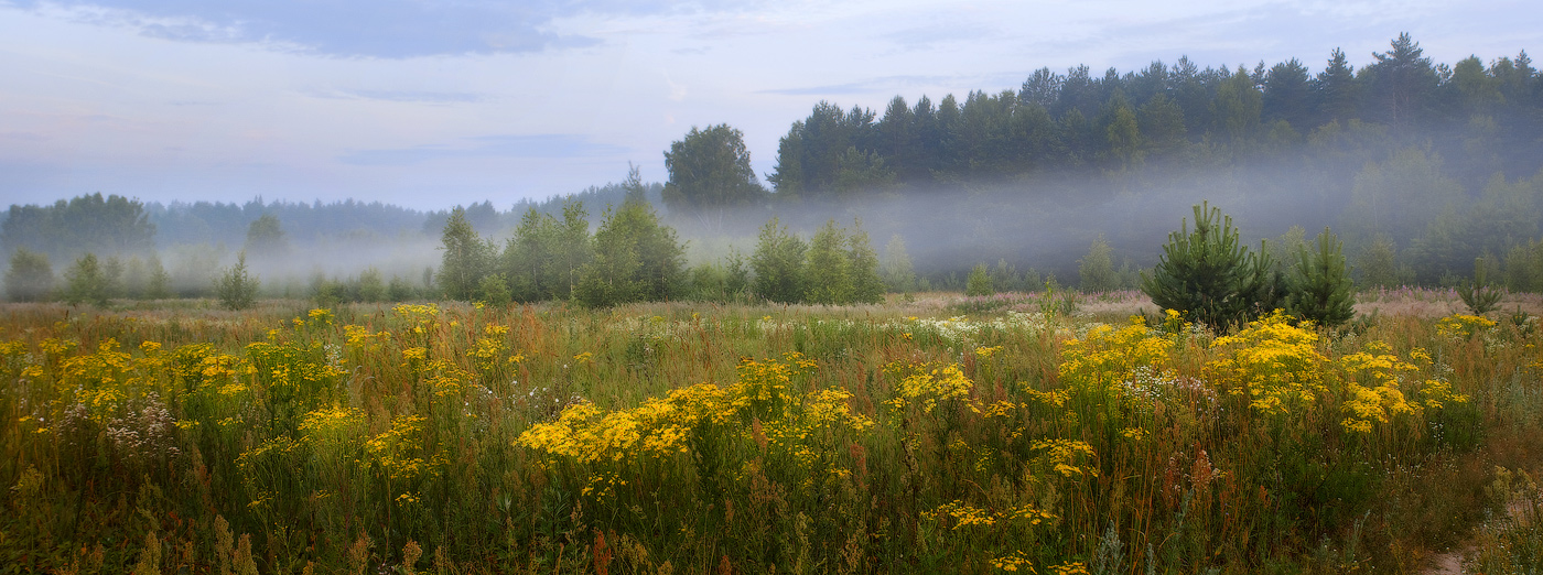 Es ist Zeit, gelbe Blüte.