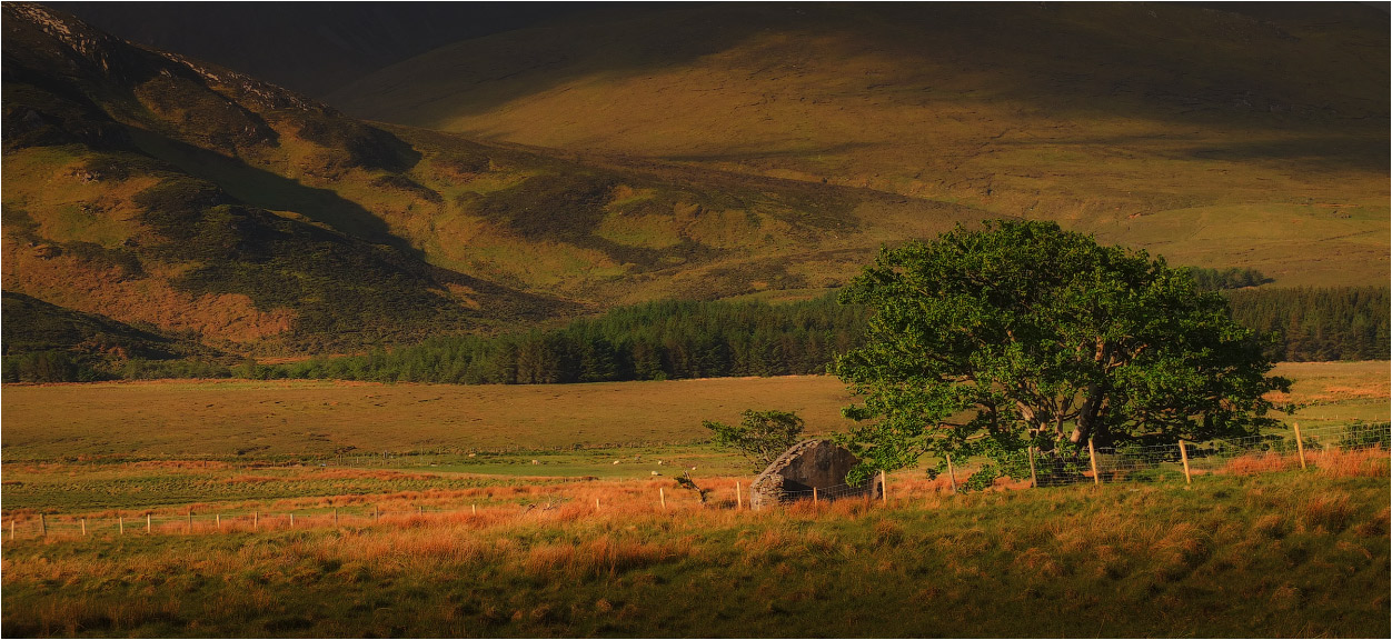 ...shades & shadows...