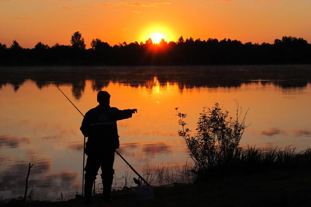 Schauen Boboer Taube!