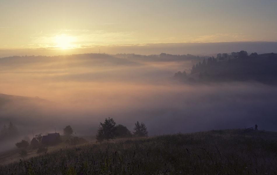 In einem Land der Nebel