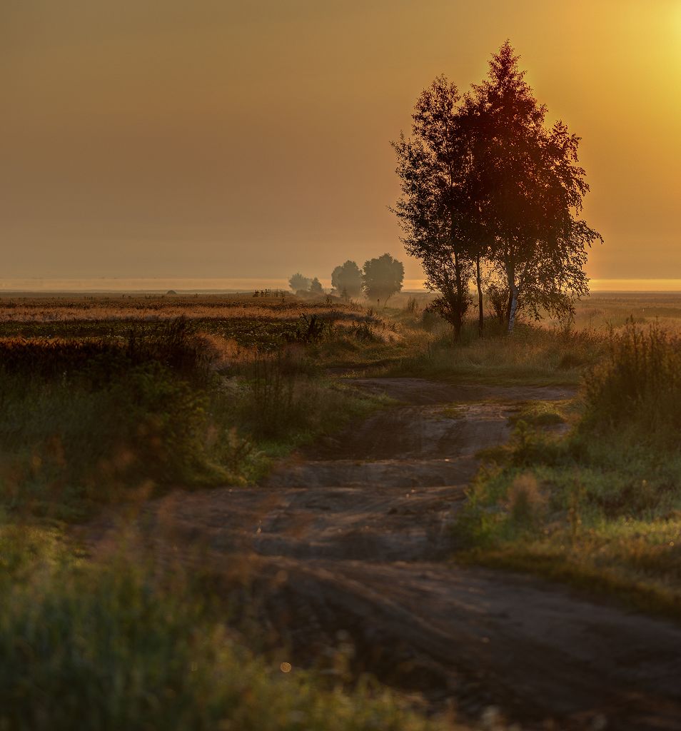 Grenzüberschreitende Morgen