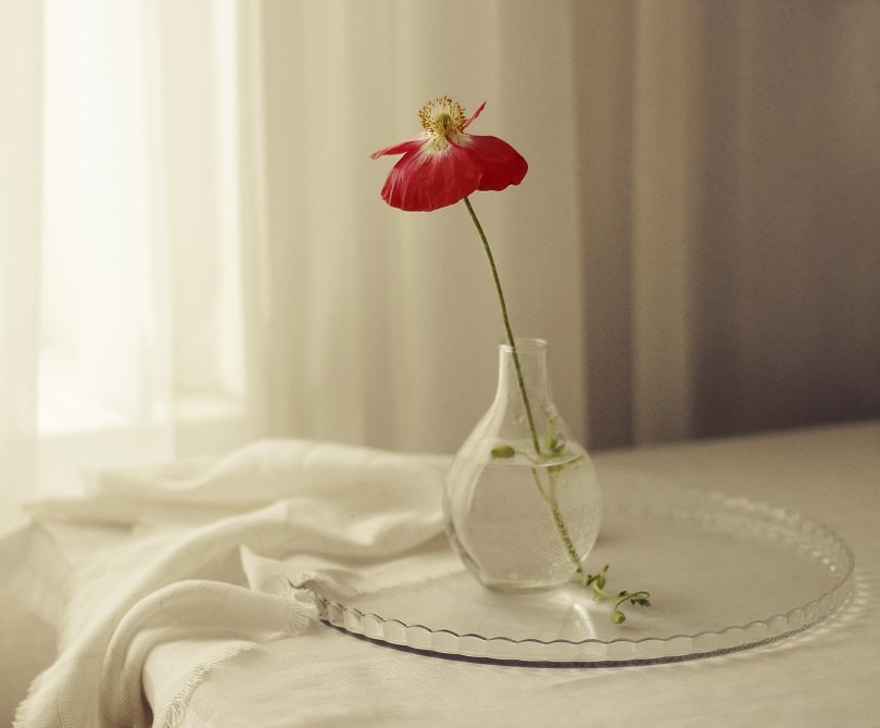 Mit einer Mohnblume ...