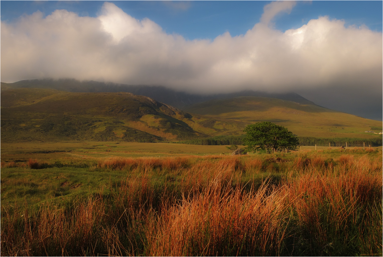 In Erwartung des schlechten Wetters ......