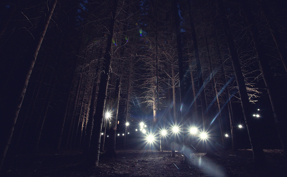 "Eins, zwei, drei, vier, fünf ... Ich werde nach dir suchen ..."