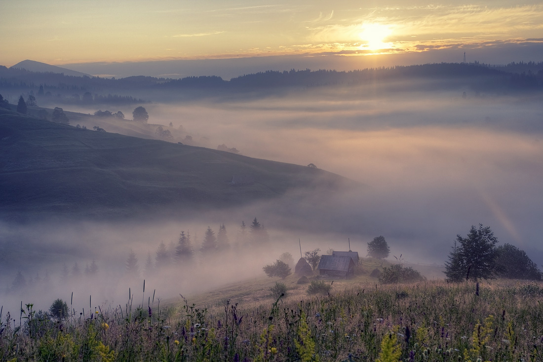 In einem Land der Nebel 2