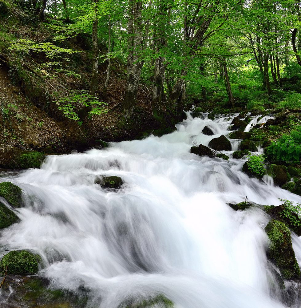 In den Außenbezirken der Durmitor # 2