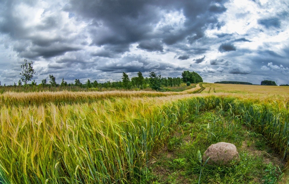 Als ein Gewitter ...