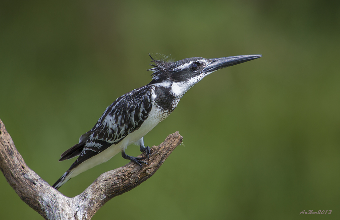 Es ist nur ein Augenblick ...