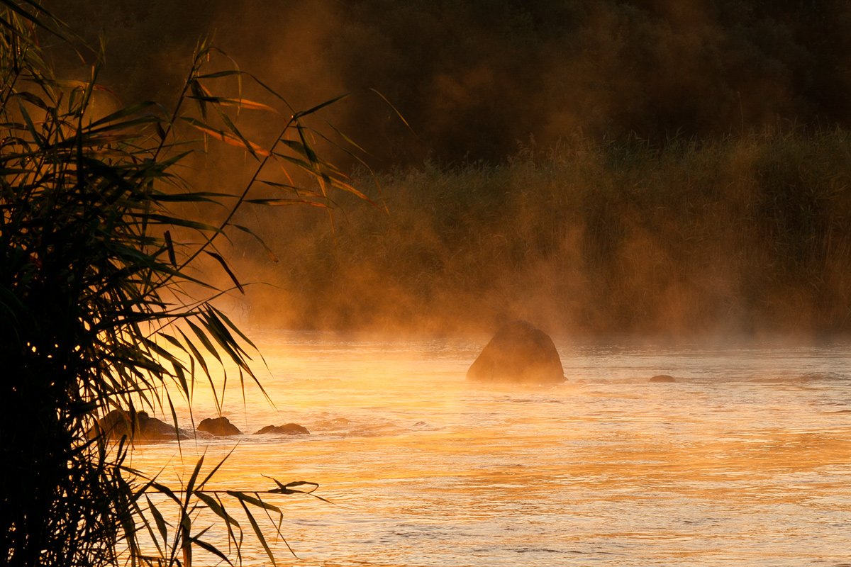 Golden Stream Gipanisa.